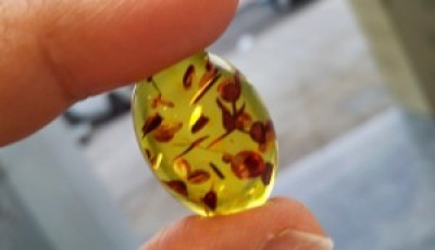Amber: A Historical Gemstone (Facts and Benefits)